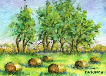 "The Hayfield" by Doris A. Rusch, Fort Atkinson WI - Watercolor - SOLD